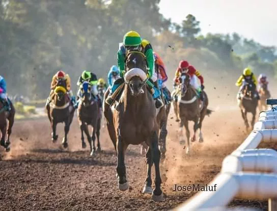 Turf, Santo Patrono Santiago 2022