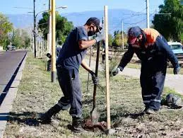 Plan Forestación Maipú 4