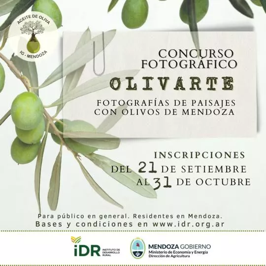 olivarte