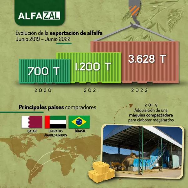 IMG-20220701-WA0034-600x600