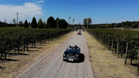 Rally de las bodegas 2