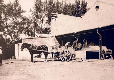 descarga de uva bodega modelo 1927