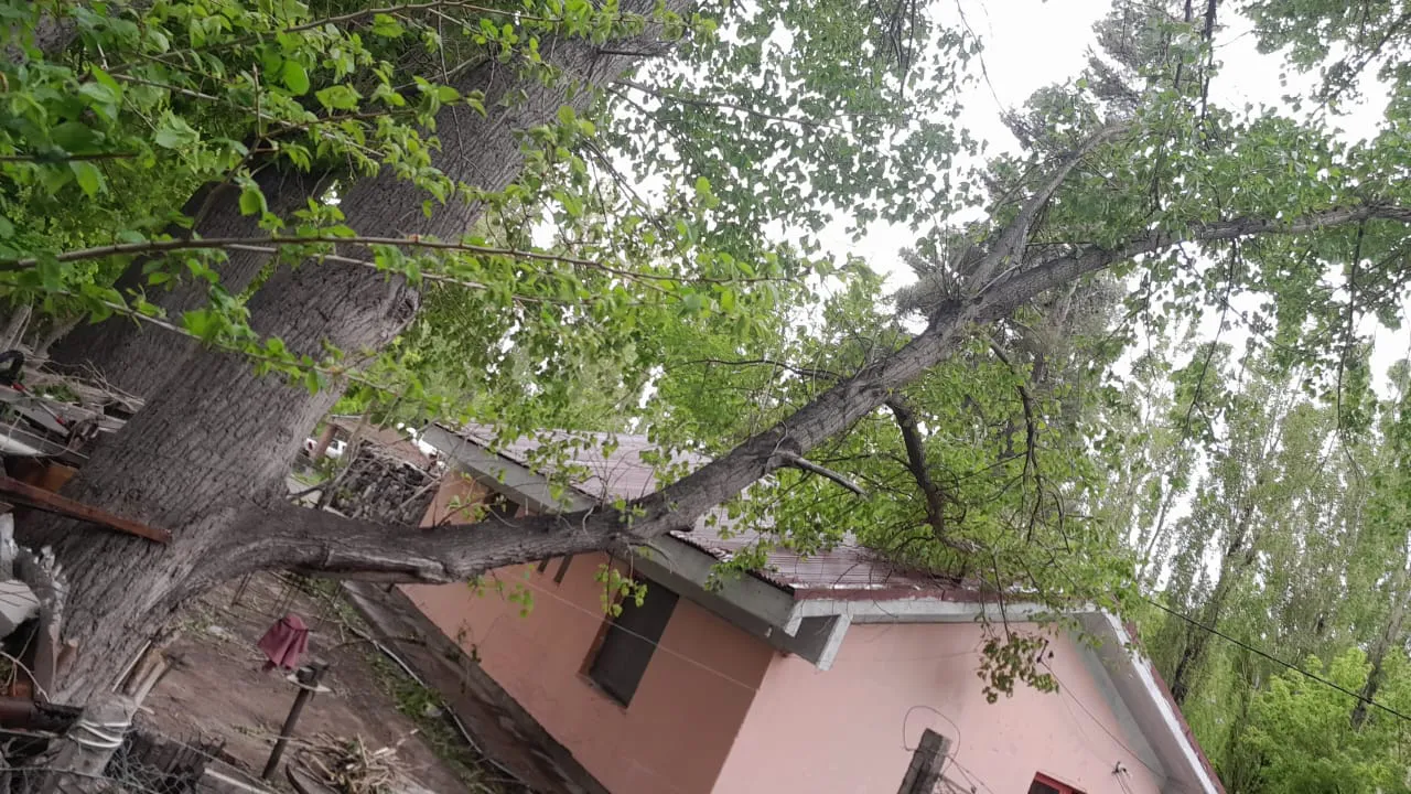 WhatsApp Image 2023-10-28 at 16.55.40