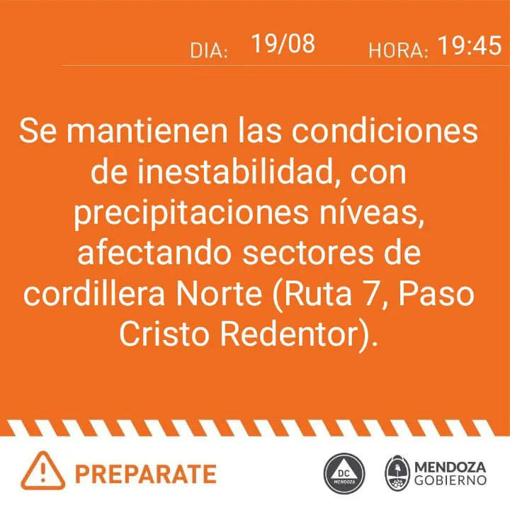 WhatsApp Image 2023-08-19 at 19.53.07