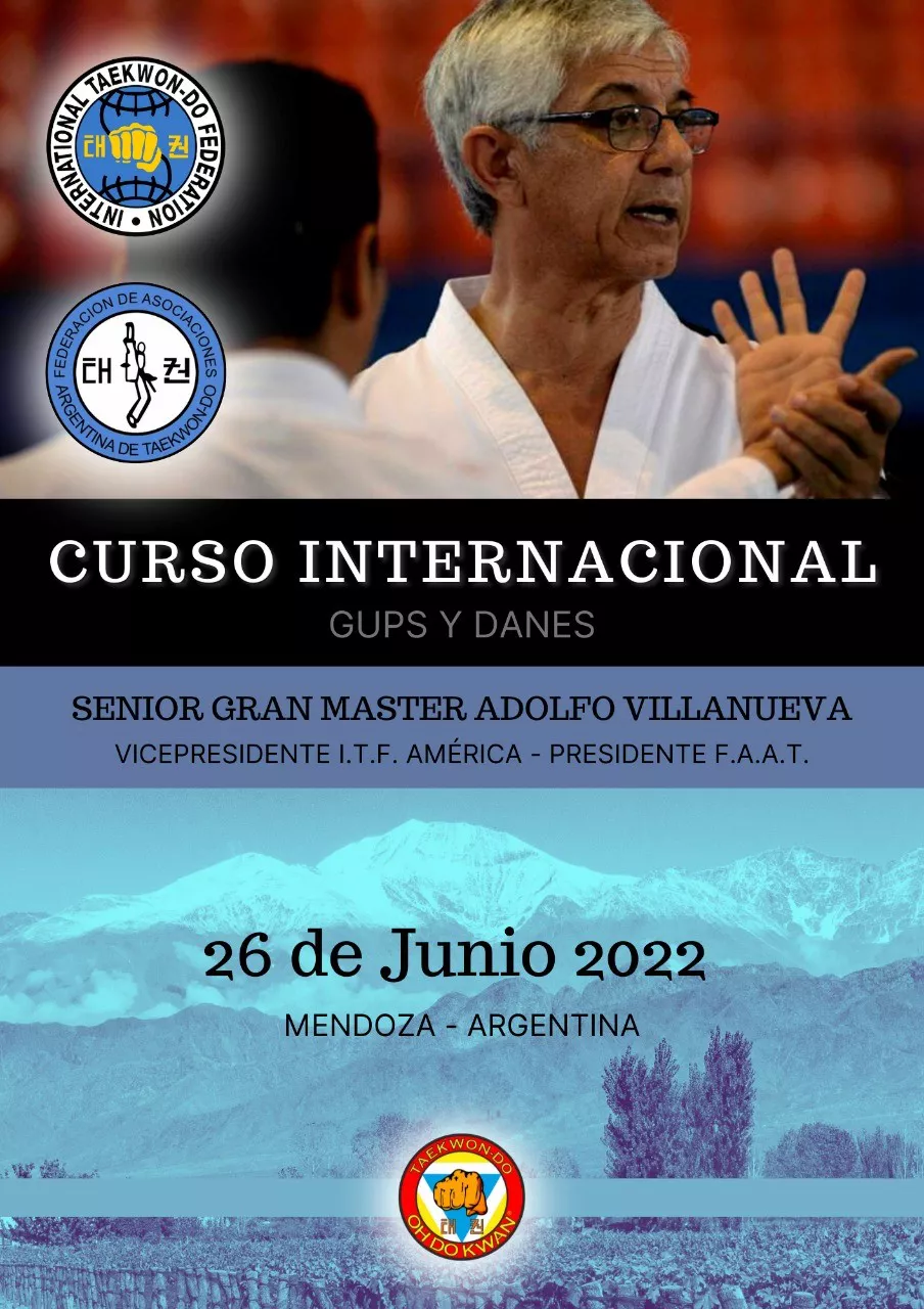 Taekwondo, Adolfo Villanueva, afiche