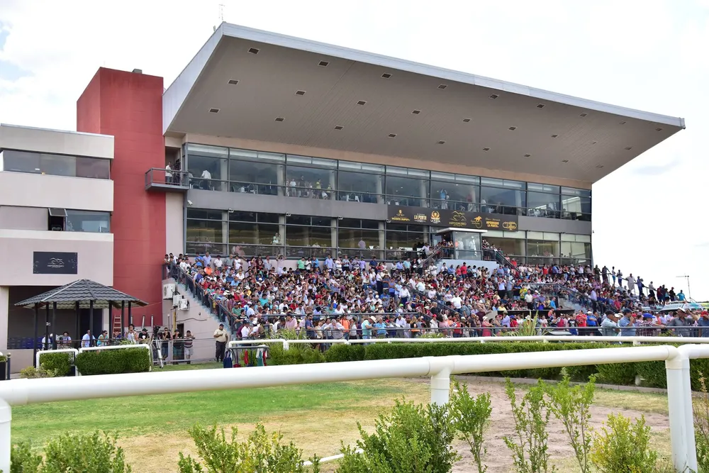 Turf, Vecinos de La Punta