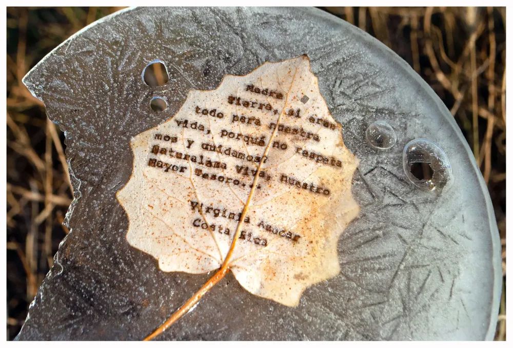 WhatsApp Image 2023-11-13 at 13.43.57