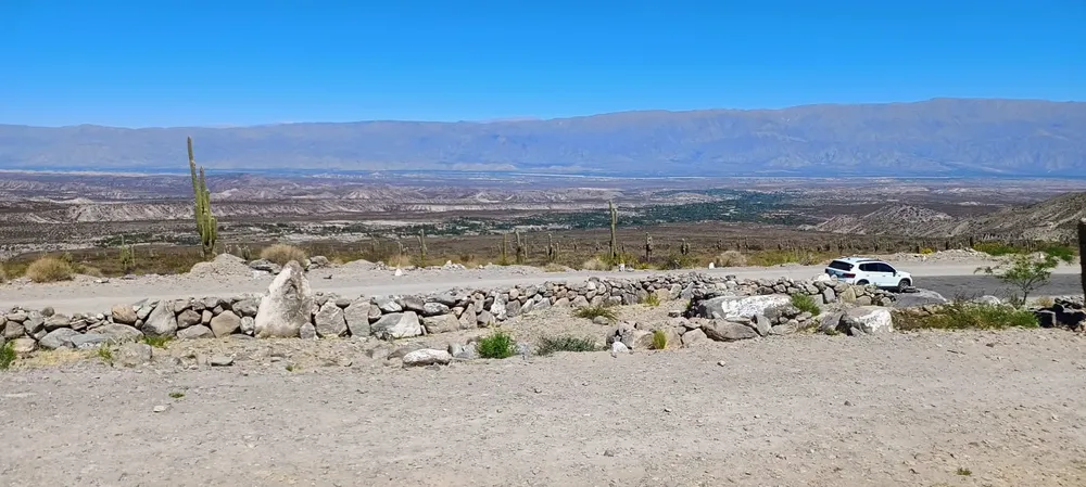 tucuman_vista_cactus