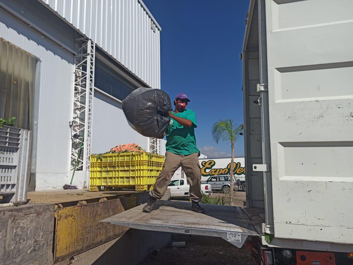 reciclaje ExpoVerde 2