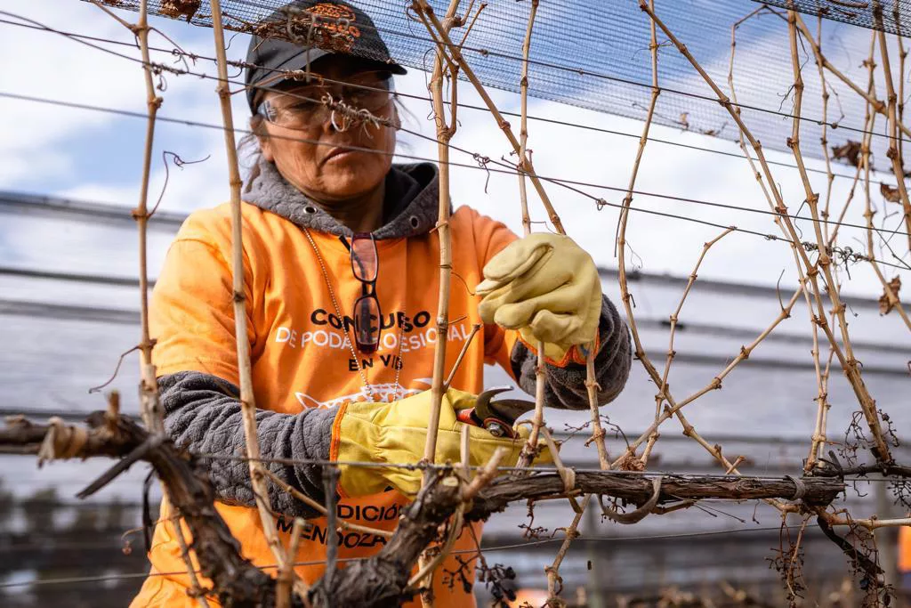 WhatsApp Image 2022-08-30 at 15.26.37