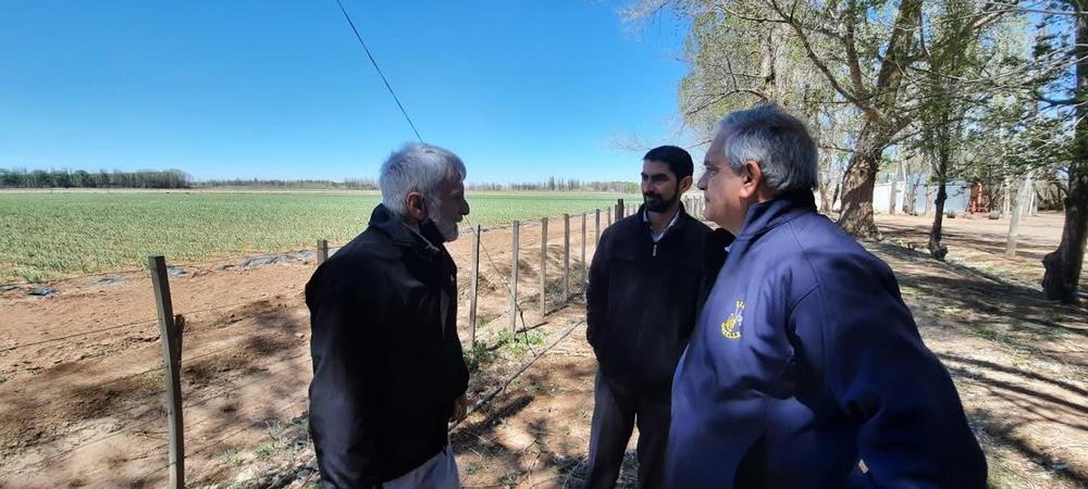 Iannizzotto-en-Malargue