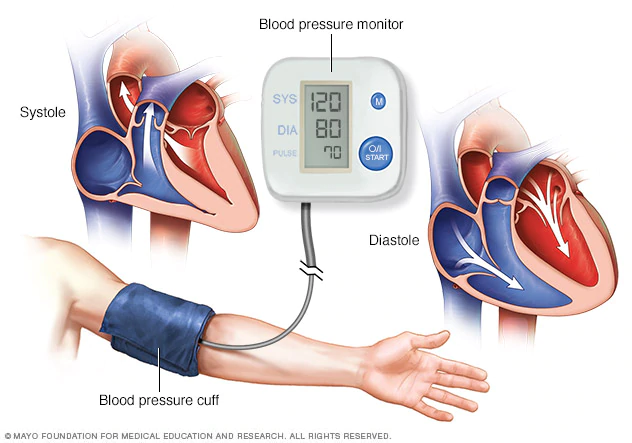 blood-pressure-monitor-8col-3559308-001-0