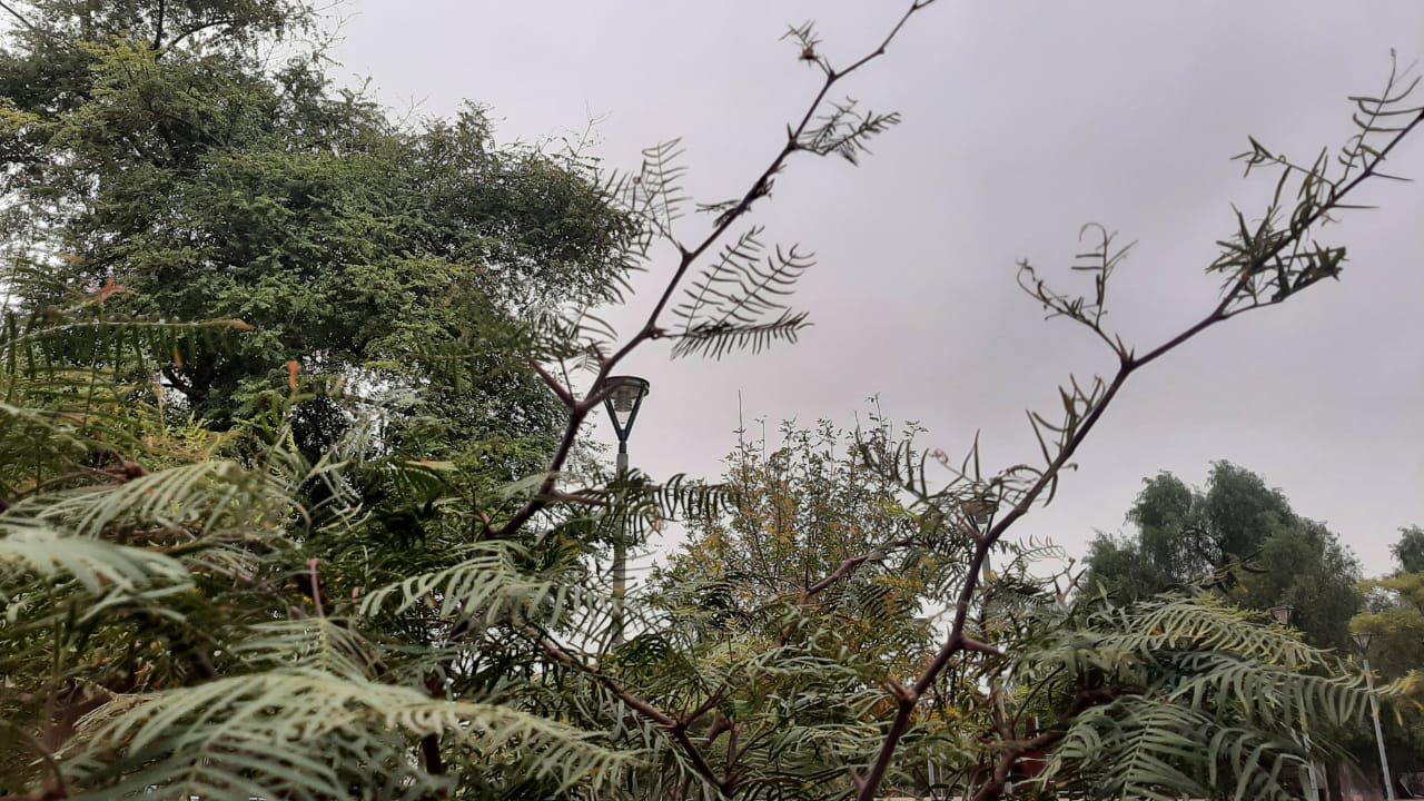 nublado_3