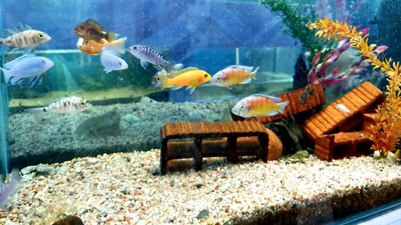 parque biodiversidad sj