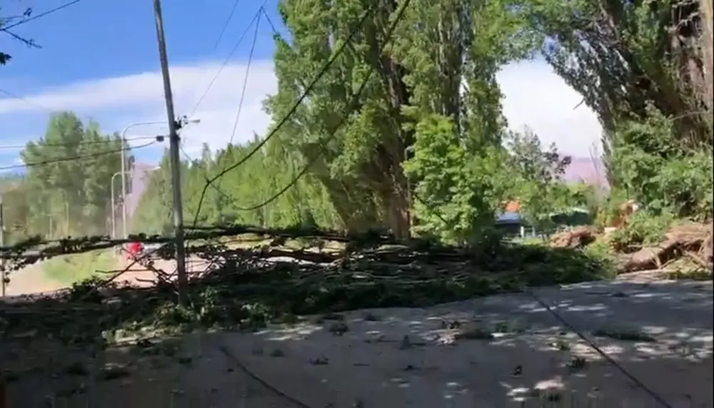 WhatsApp Image 2023-11-17 at 11.49.36