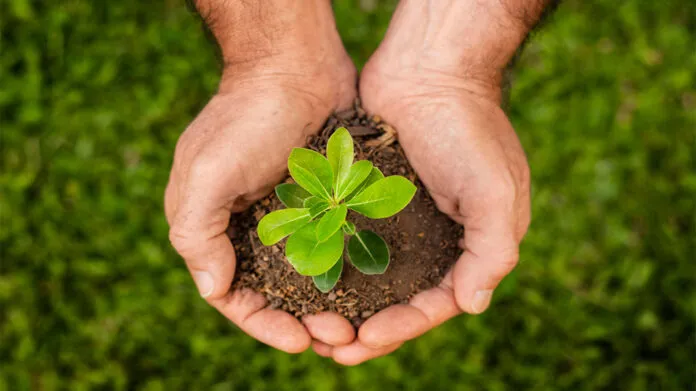 Reporte-de-sostenibilidad-696x391