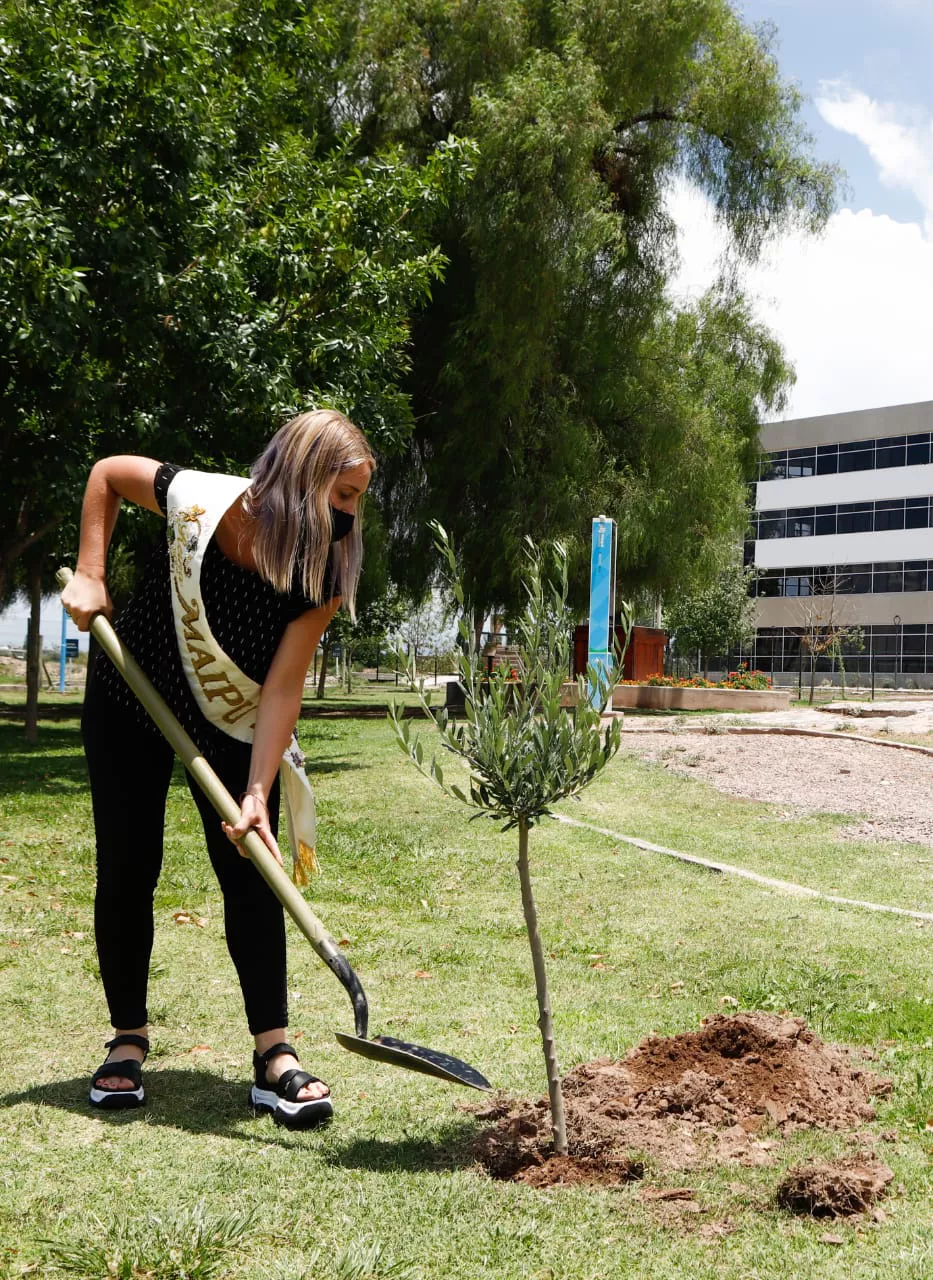 Plan Forestación Maipú 3
