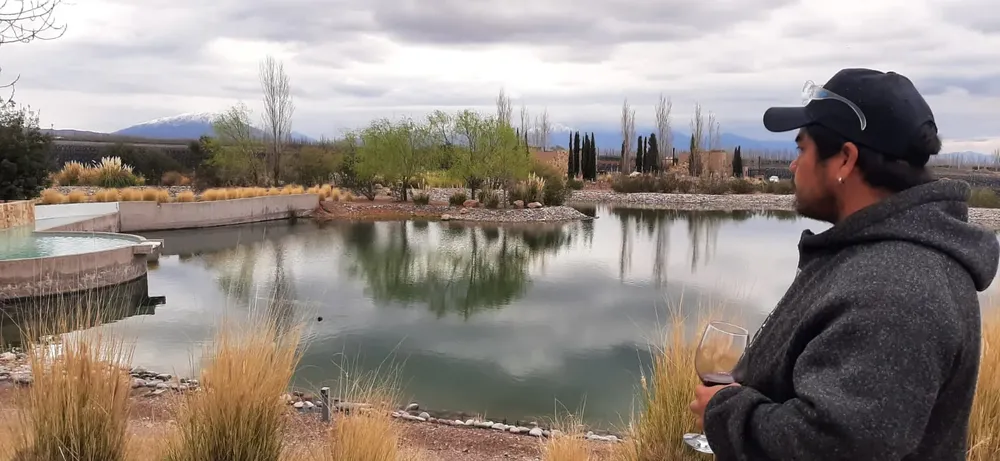 podador_copavino_mirando