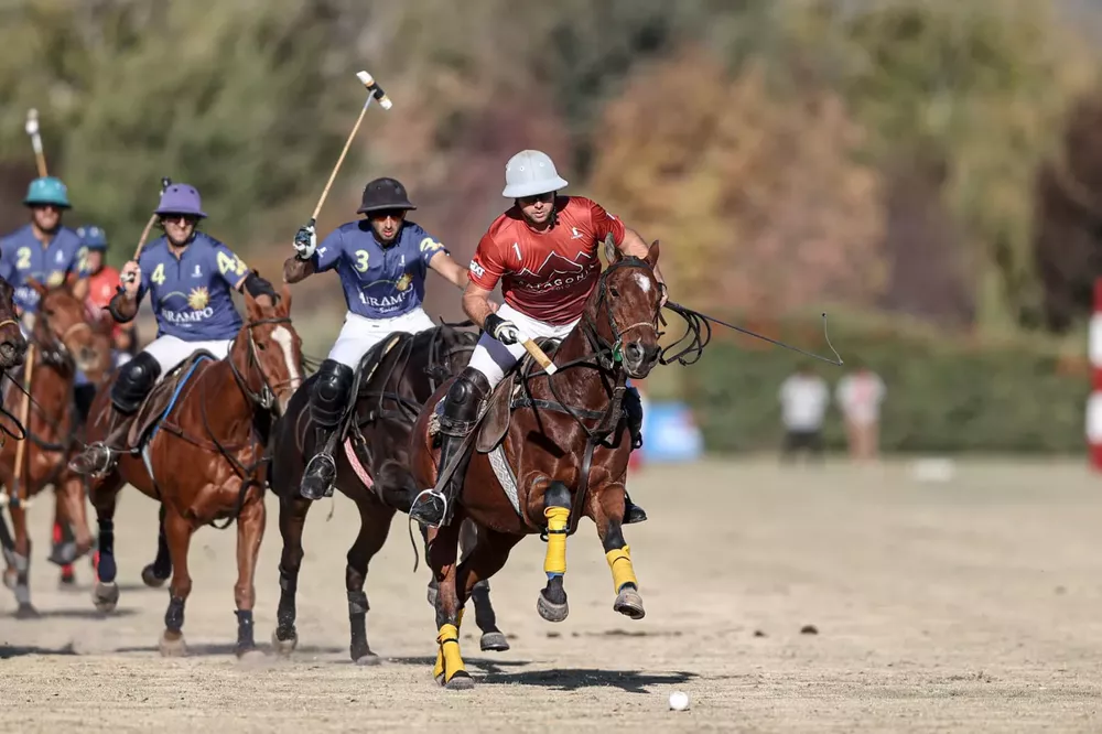 Polo, Campeonato Argentino, con Handicap