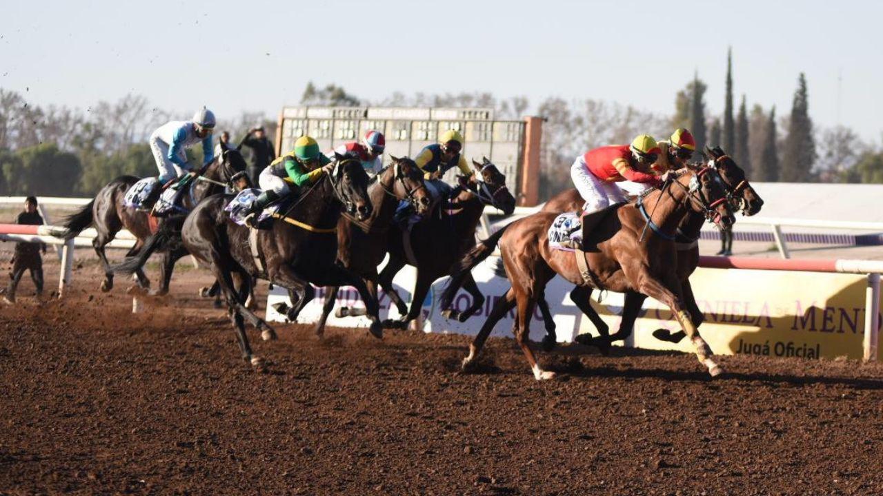 Turf, el Santo Patrono sin público