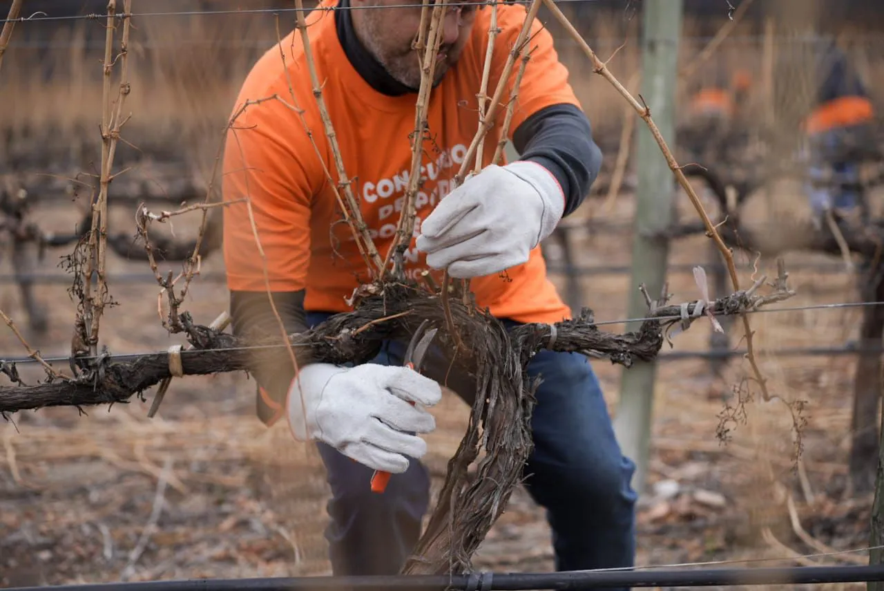 WhatsApp Image 2023-08-29 at 09.28.53 (1)