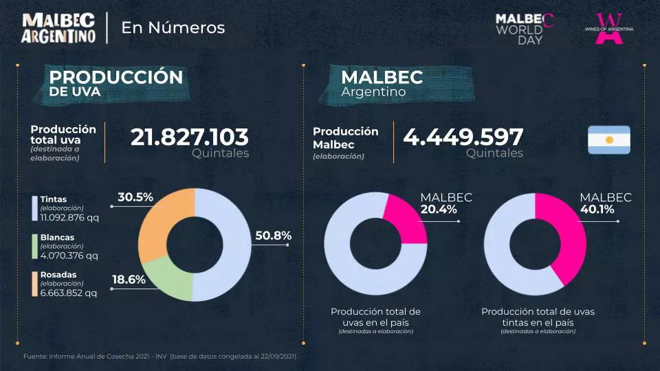 MWD 2022 MALBEC EN NÚMEROS (ESP) (2)