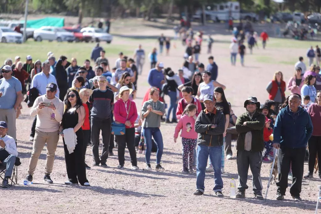 WhatsApp Image 2022-10-09 at 19.54.07