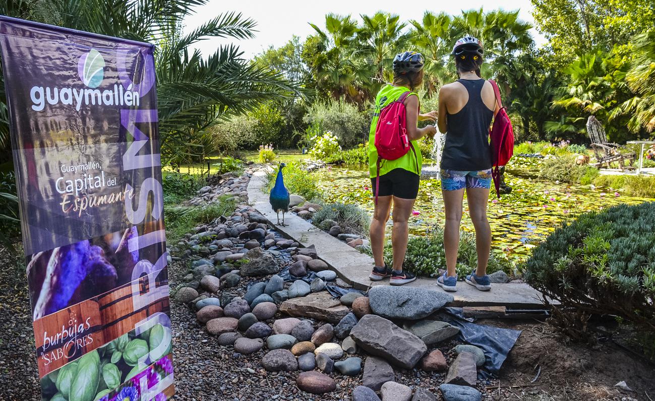 Bicitour, Descubriendo Guaymallén (7)