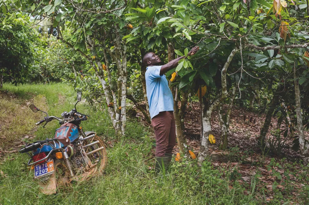 pic_ct_farmer_karimplantation