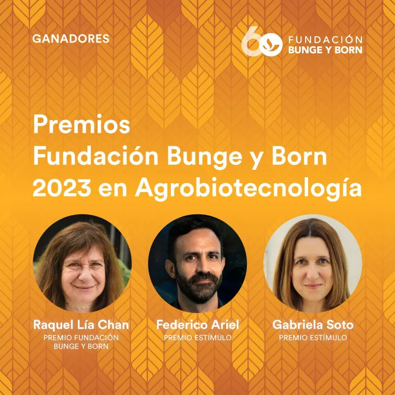 Premio Fundación Bunge y Born 2023_
