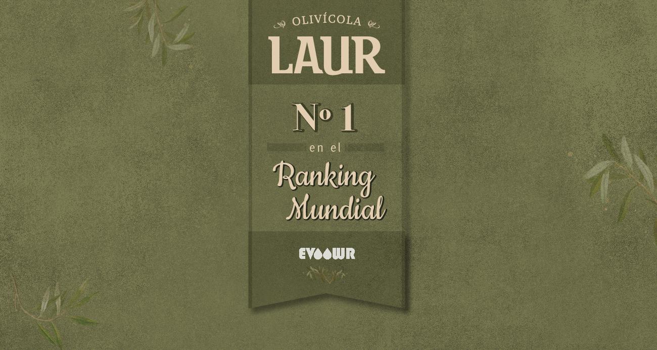 laur-feed-diciembre_portada-blog