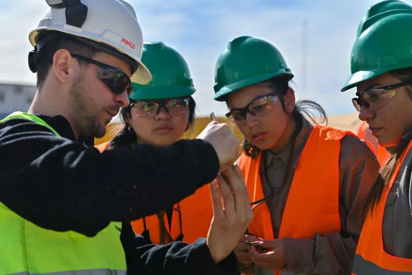 prácticas profesionalizantes