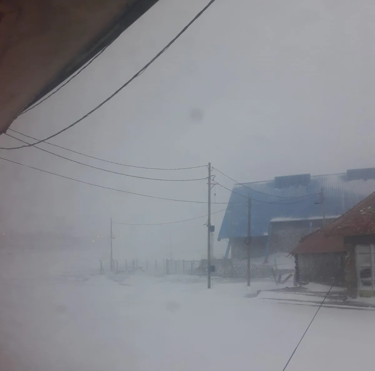 WhatsApp Image 2023-10-29 at 10.16.11