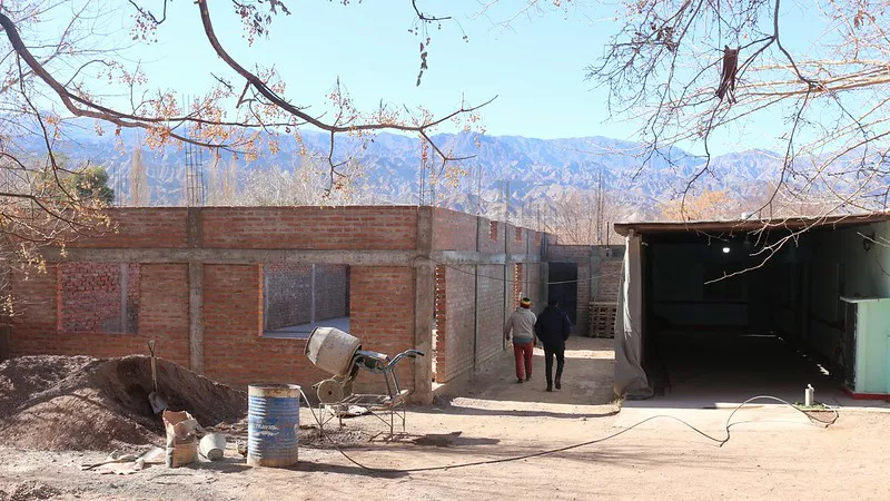 52362401703_80de226f62_c