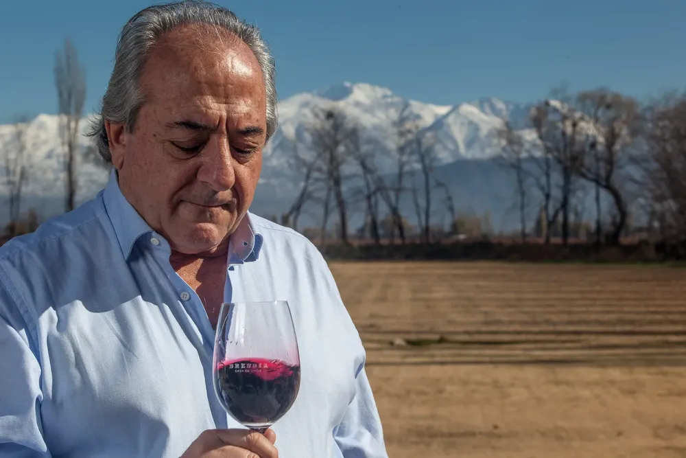 WALTER BRESSIA COPA TINTO 2