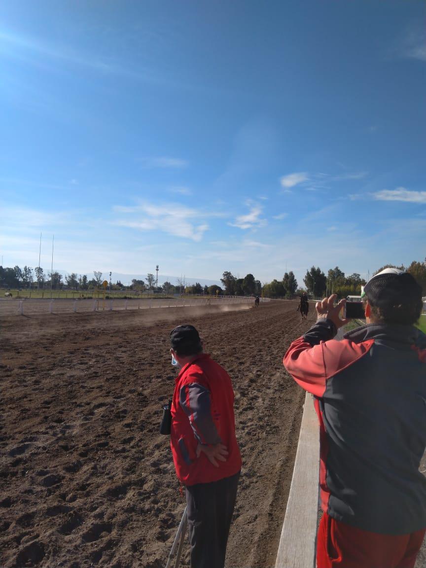 Turf, Hipódromo de Mendoza, martes 25 de Mayo