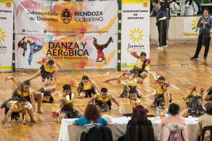 Aeróbica y danza, Torneo Provincial