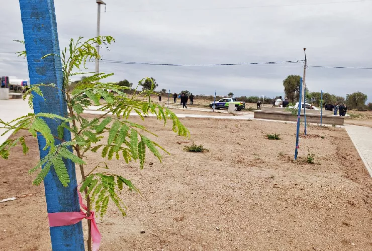 Forestacion_Principal