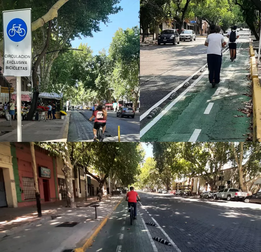 ciclovia_monopatines_circulacion