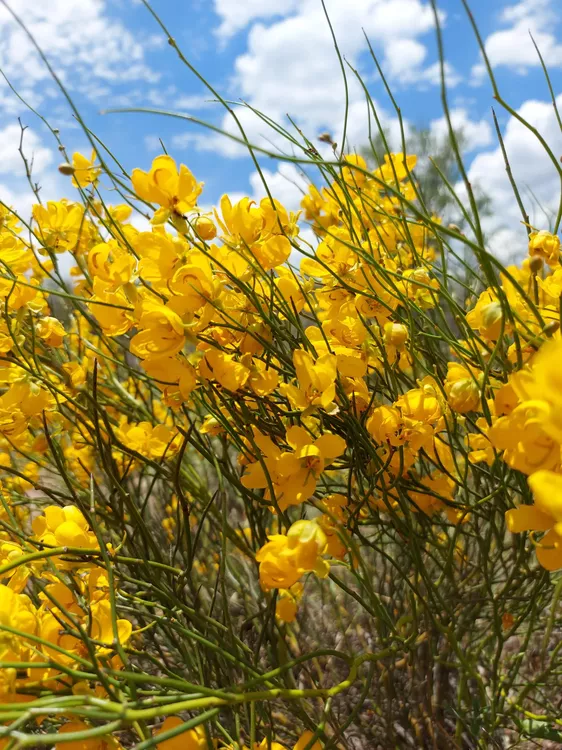 Tercer-Puesto-1-1536x2048