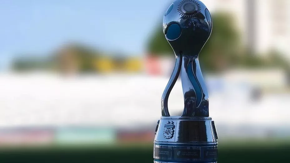 Copa Argentina, iniciativa y concurso