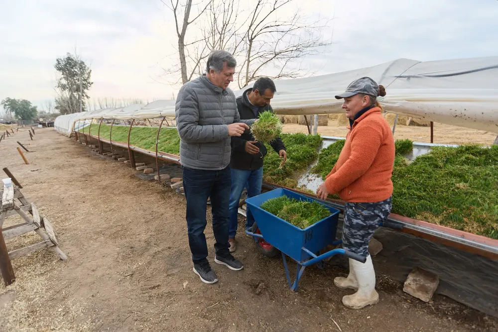 Las Heras, tambo Borbollon