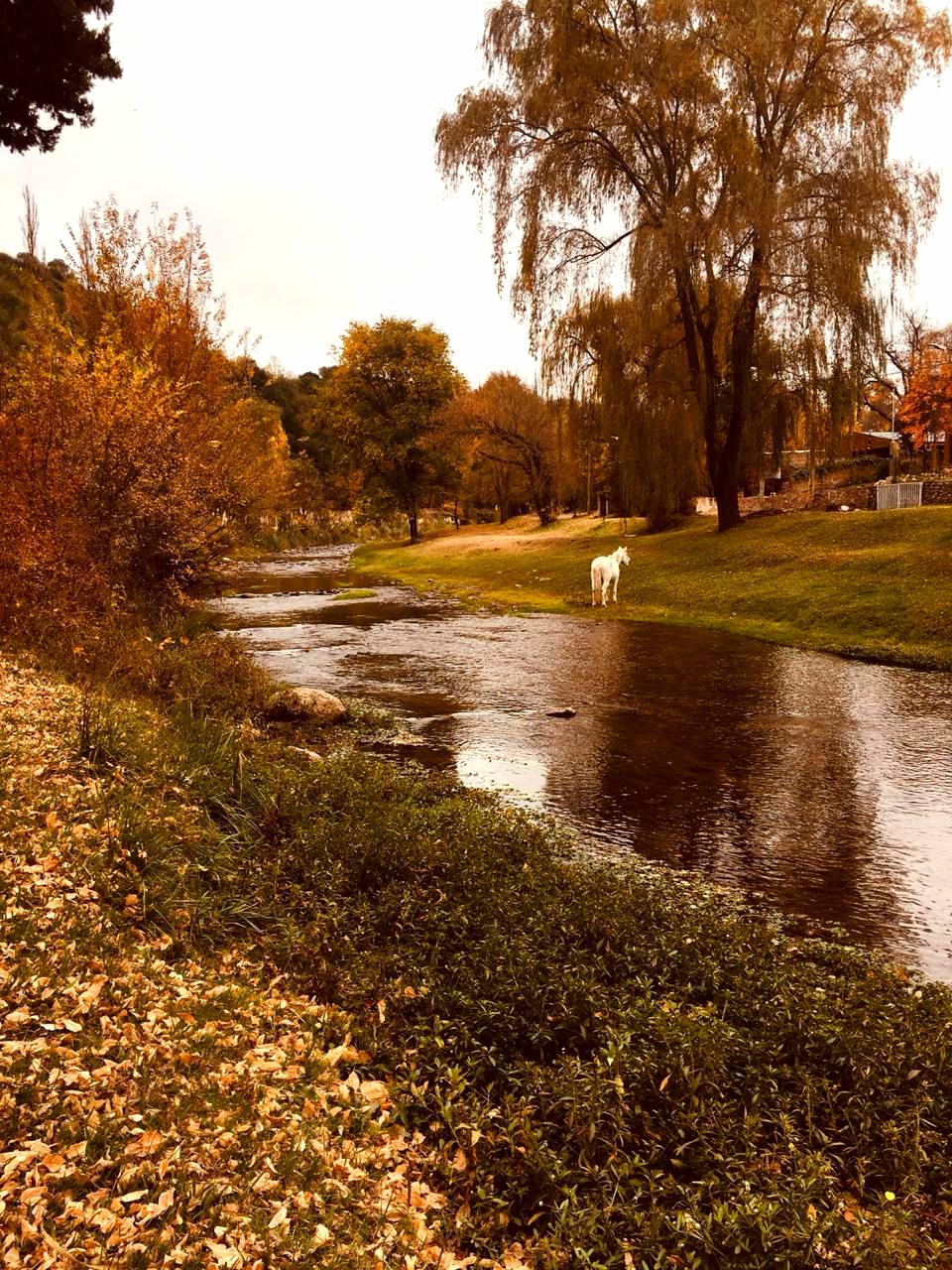 El Trapiche (San Luis)