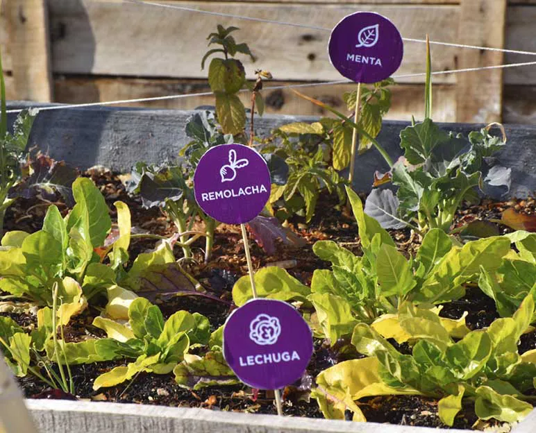 huerta-godoy-cruz mendoza