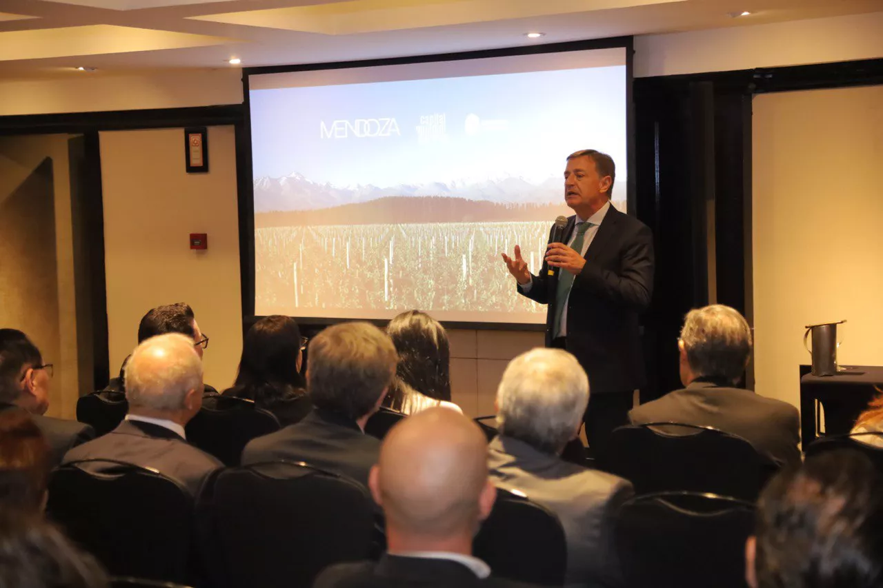 Suarez mision Brasil 2