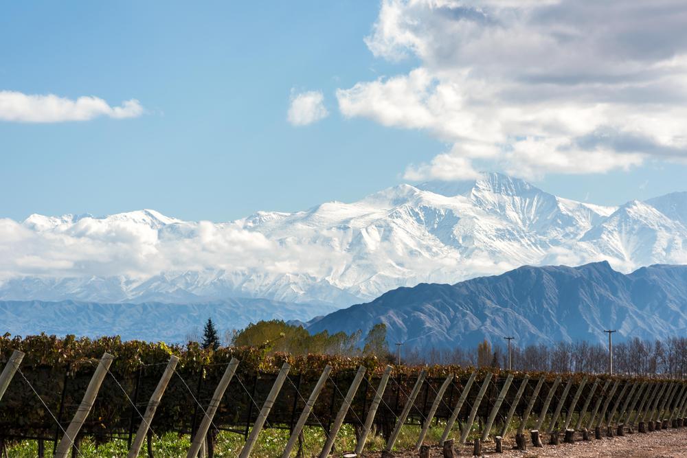 Mendoza_2021