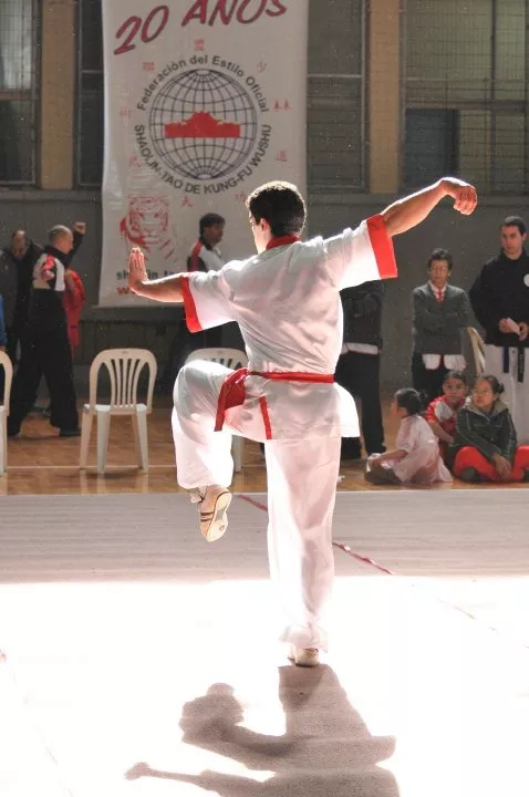 Artes Marciales, Shaolin Tao