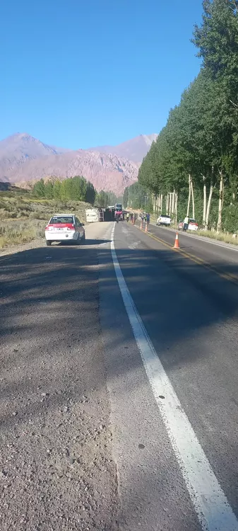 WhatsApp Image 2023-03-11 at 14.30.43 (1)