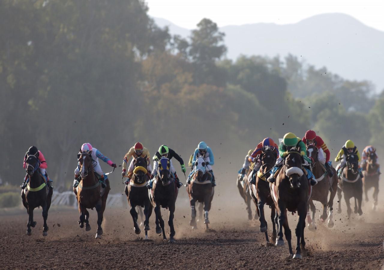 Turf, Santo Patrono Santiago 