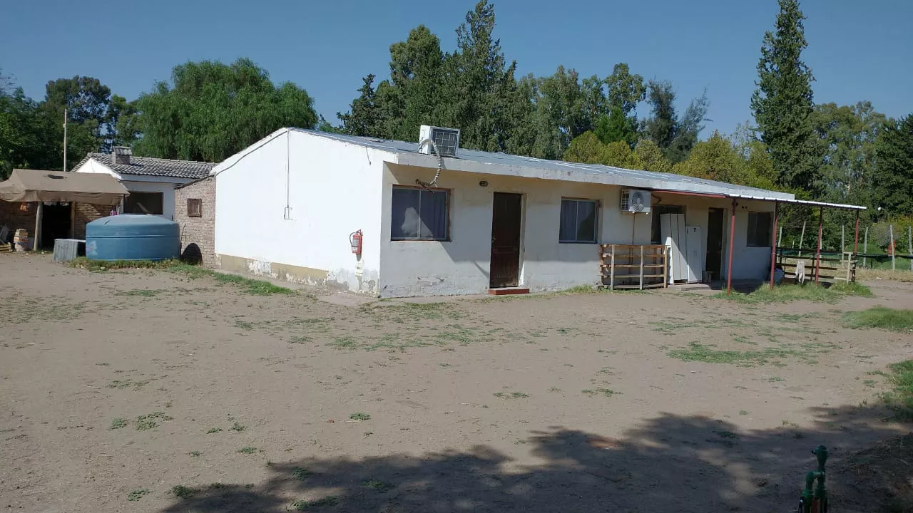 Kyungja YOO Kyungja YOO